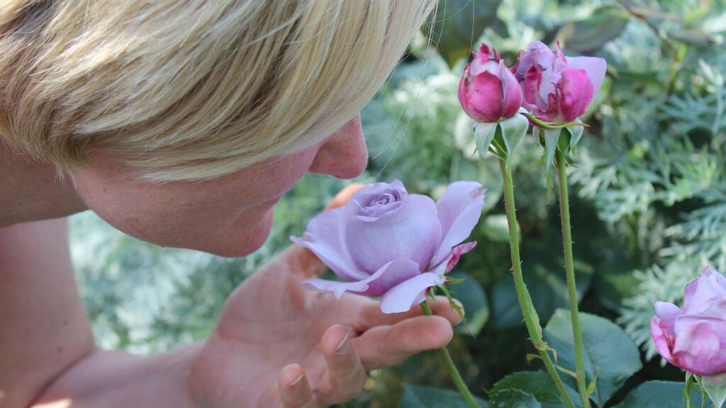 Women’s sense of smell is roughly 50% more sensitive than men’s on average, and the gap widens during pregnancy to a degree that some evolutionary biologists think is a defence mechanism for the fetus