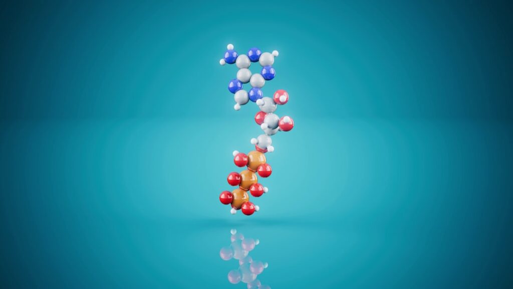MIT scientists discover amino acid that helps the gut heal itself