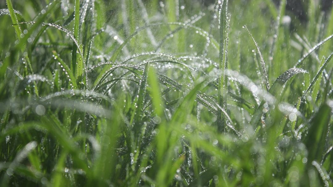 New evapotranspiration method could recover up to 30% missing tower energy