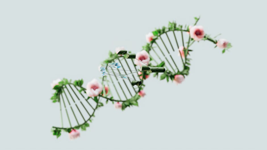 The Genetic Reasons Some Humans Live Beyond 100