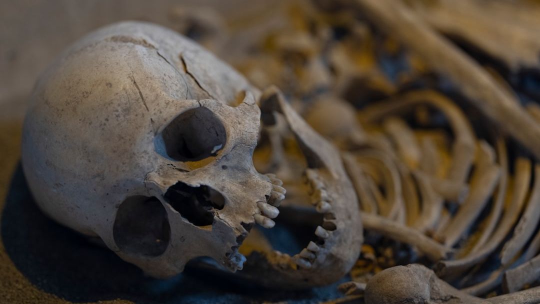 What Happens to Cells After the Body Dies?