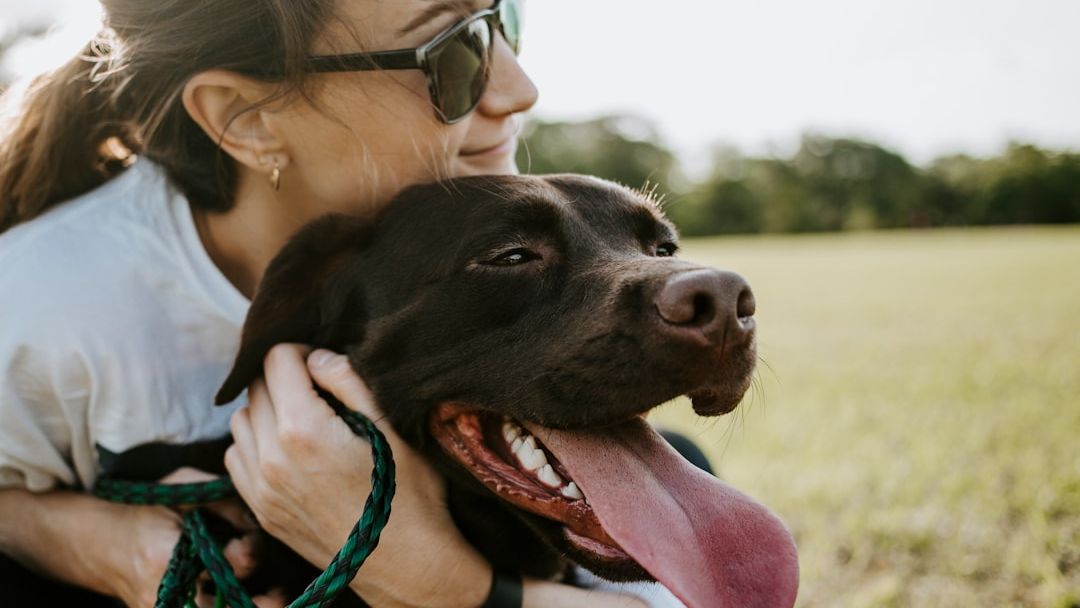 Psychology Says Your Dog Watches Your Emotions More Than Your Actions