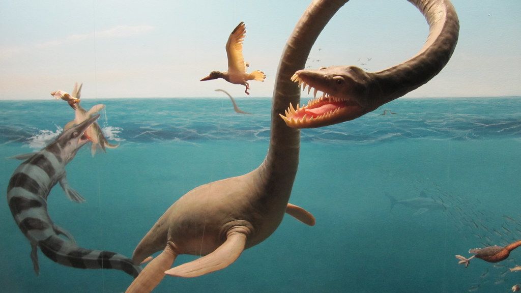 There’s a New T. Rex in Town—and It Swims