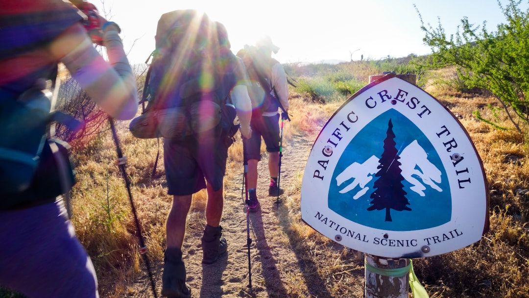 9 Hikers Saw the Same Strange Figure on the Pacific Crest Trail – Then Vanished Within 48 Hours