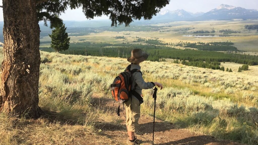 12 People Who Entered Yellowstone's Backcountry and Were Never Seen Again