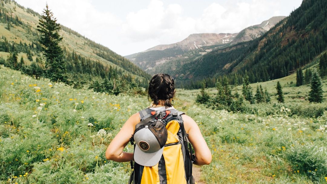 12 People Who Vanished in National Parks Under Identical Circumstances – The Pattern Nobody Can Explain