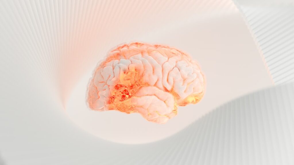 Can Brains Grown in a Lab Have Consciousness?