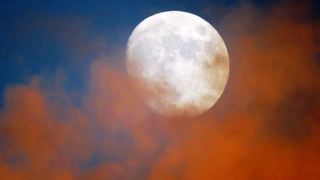 Which Zodiac Signs Are Most Drawn to the Moon and Night Sky?