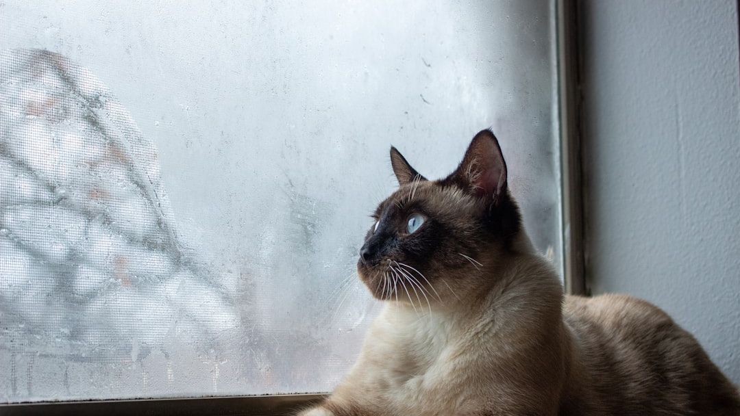 12 Animals That Can Predict Natural Disasters Hours Before They Happen