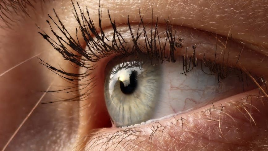 10 Weird Science Facts About the Human Senses That Defy Logic