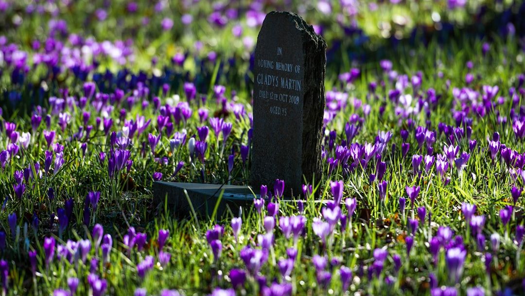Why Humans Are the Only Species That Truly Fear Death