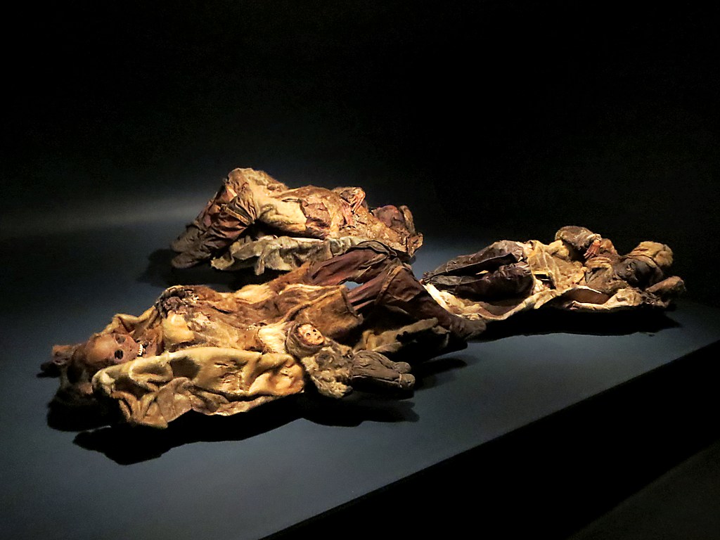 #1: The Human Remains Museums Now Regret Collecting 