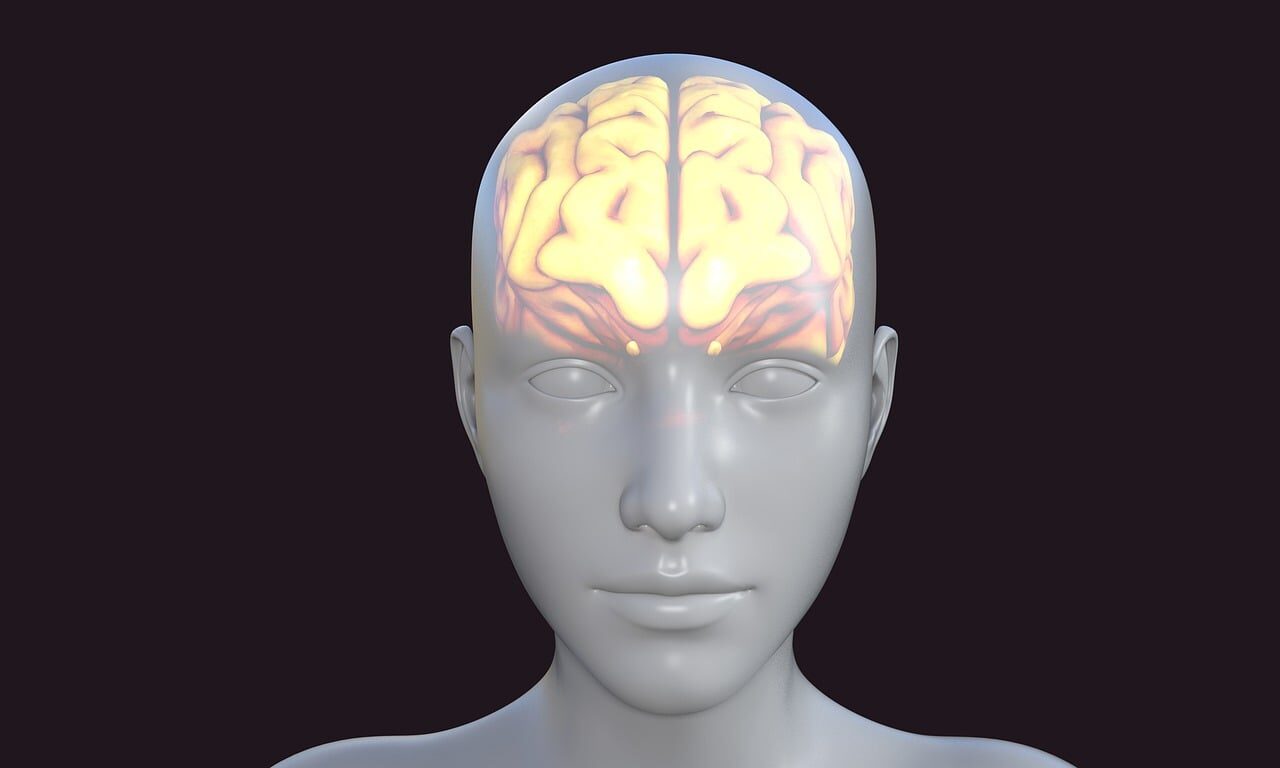 The brain’s shutdown sequence: what actually happens as you die? 