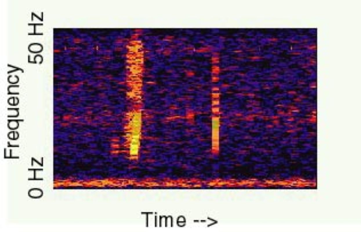 #1 The Bloop: A Colossal Sound That Should Not Exist 