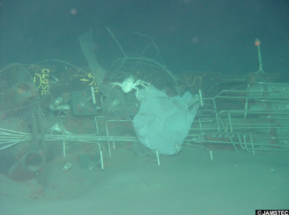 #10 The Brief Buzz Over Deep Ocean Plastic “Islands”