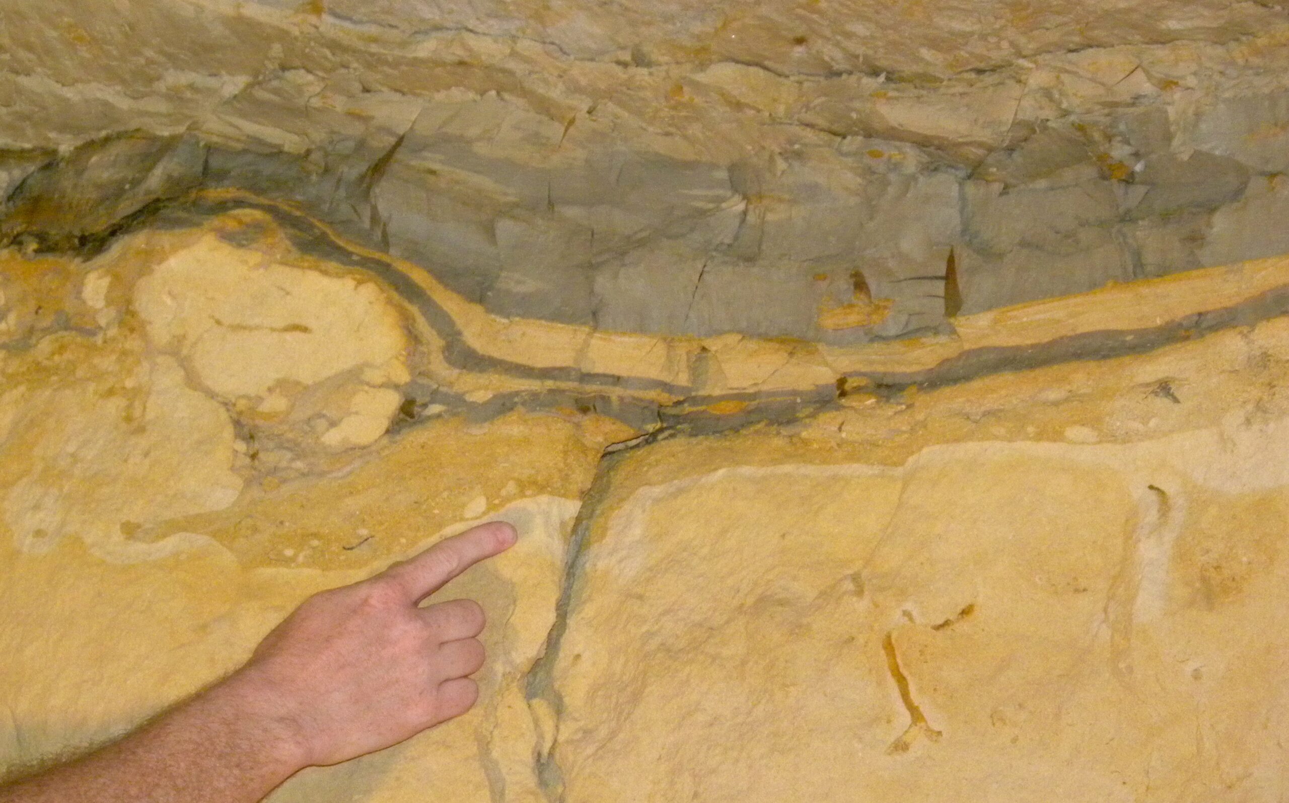 #7 Meteorites and Mass Extinctions: Rocks from Space and the Fall of the Dinosaurs 
