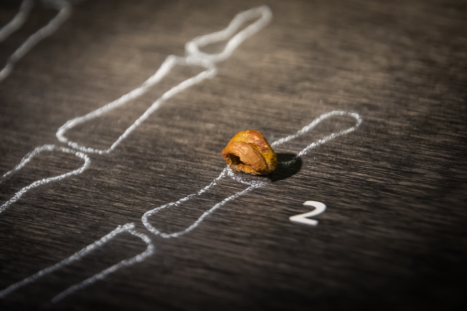 3. The Denisovans: A Lost Branch Revealed by a Finger Bone and DNA