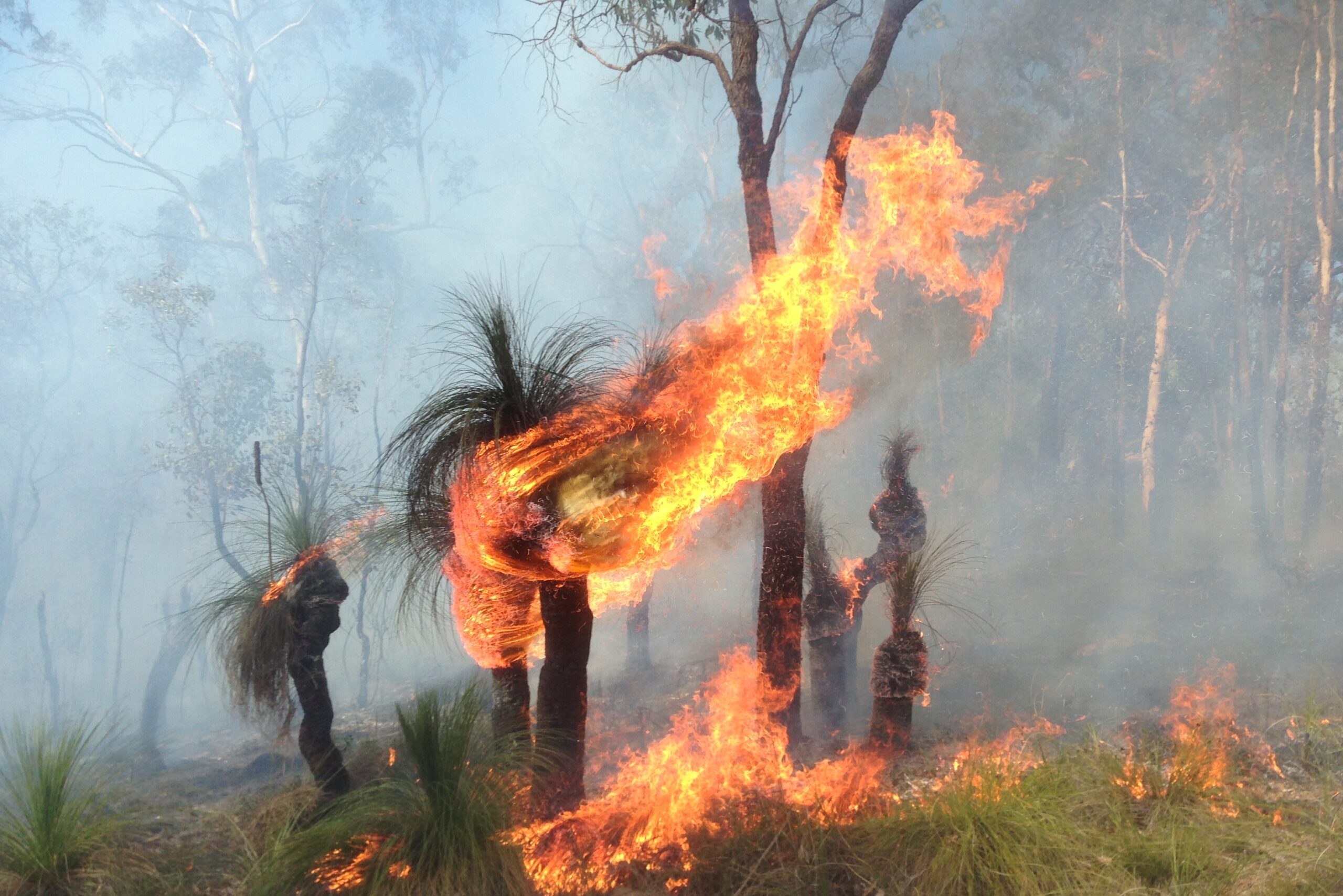 #21 Aboriginal Australian Fire‑Stick Farming And Land Management