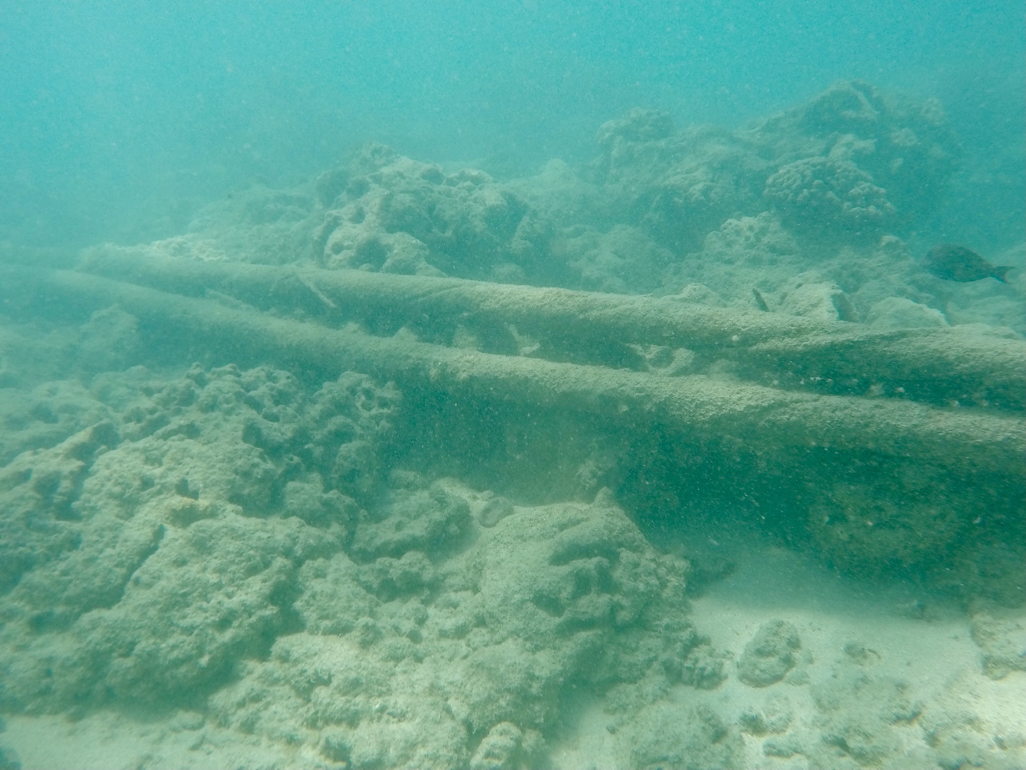#5 Strange Anomalies Near Deep-Sea Cables