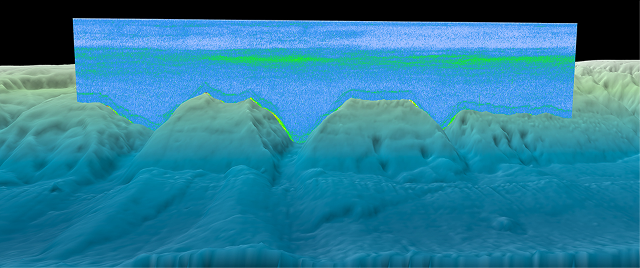 #6 Mysterious Deep Scattering Layer “Skyline”