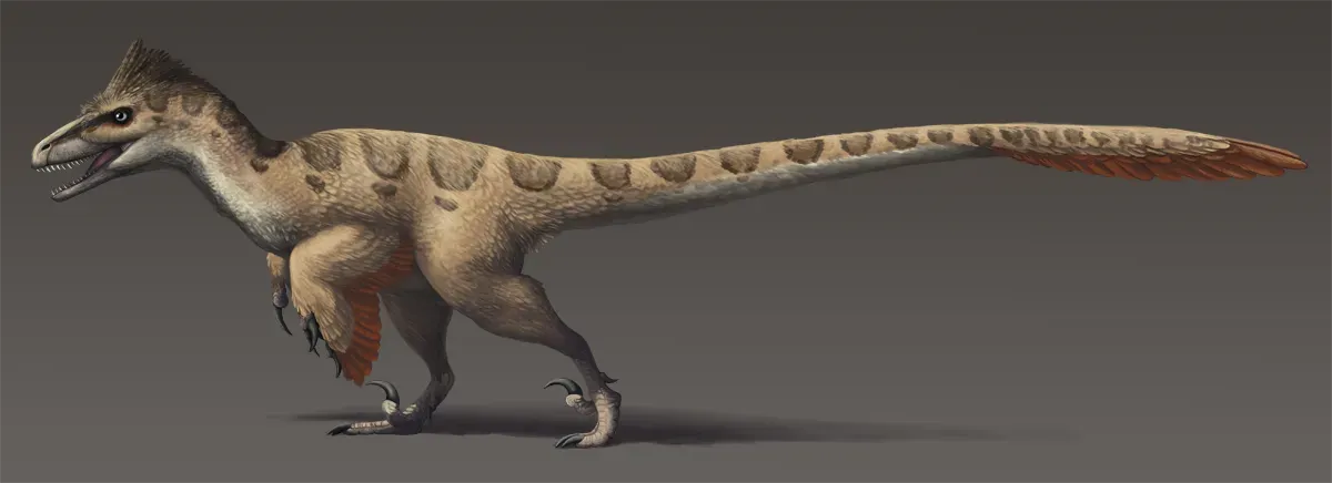 The Largest Prehistoric Raptor Ever Discovered