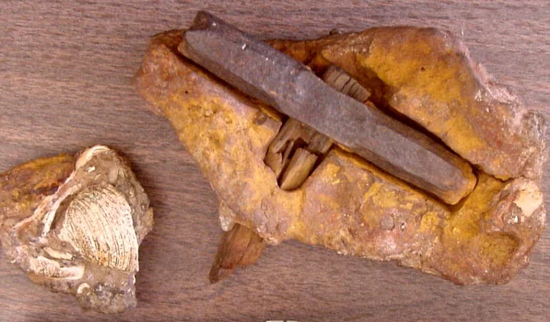#11 The London Hammer: A Tool in Ancient Rock or a Misunderstood Curiosity?