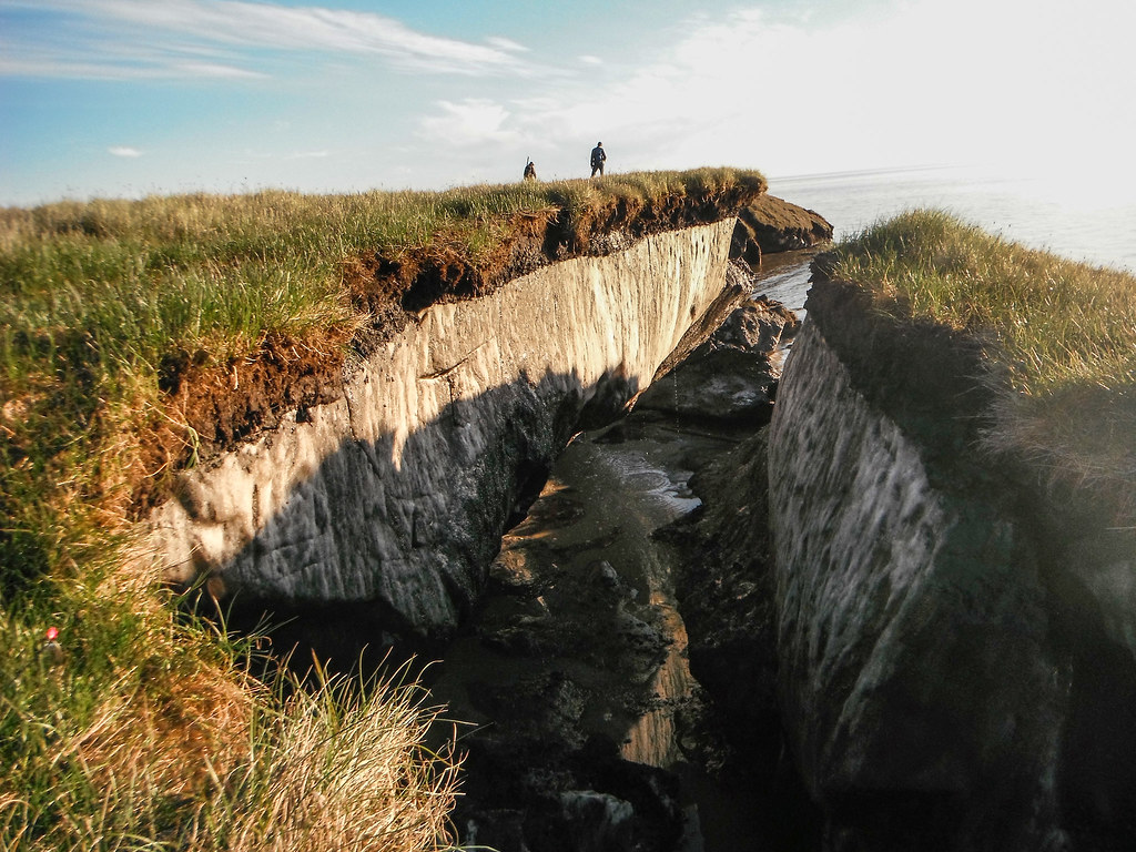 The Layer of Permafrost That Thawed in Alaska Last Month Contains Bacteria That Has Never Encountered a Human Immune System