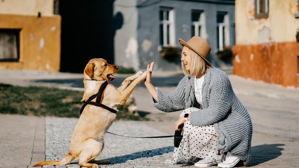 Psychology Says People Who Talk to Their Pets Like Children Are Actually Showing Signs of Advanced Emotional Intelligence