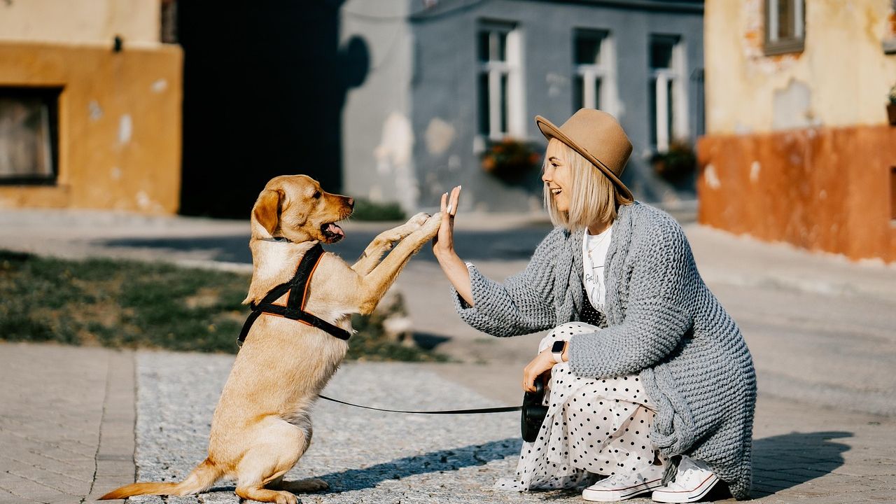 Psychology Says People Who Talk to Their Pets Like Children Are Actually Showing Signs of Advanced Emotional Intelligence