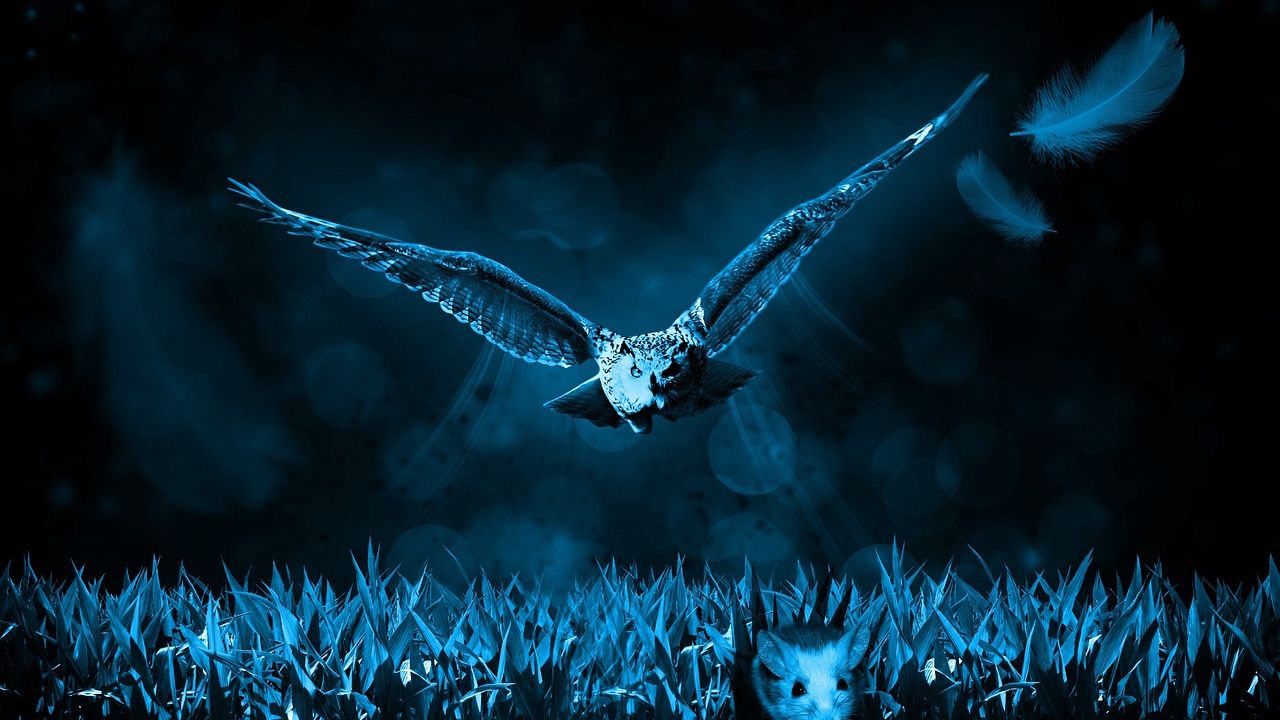 The Night Creature That Matches Every Zodiac Sign’s Hidden Nature