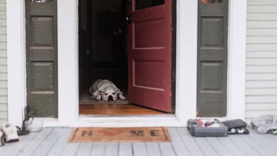 What Your Dog Does in the 30 Seconds Before You Walk Through the Door (Scientists Finally Have Answers)