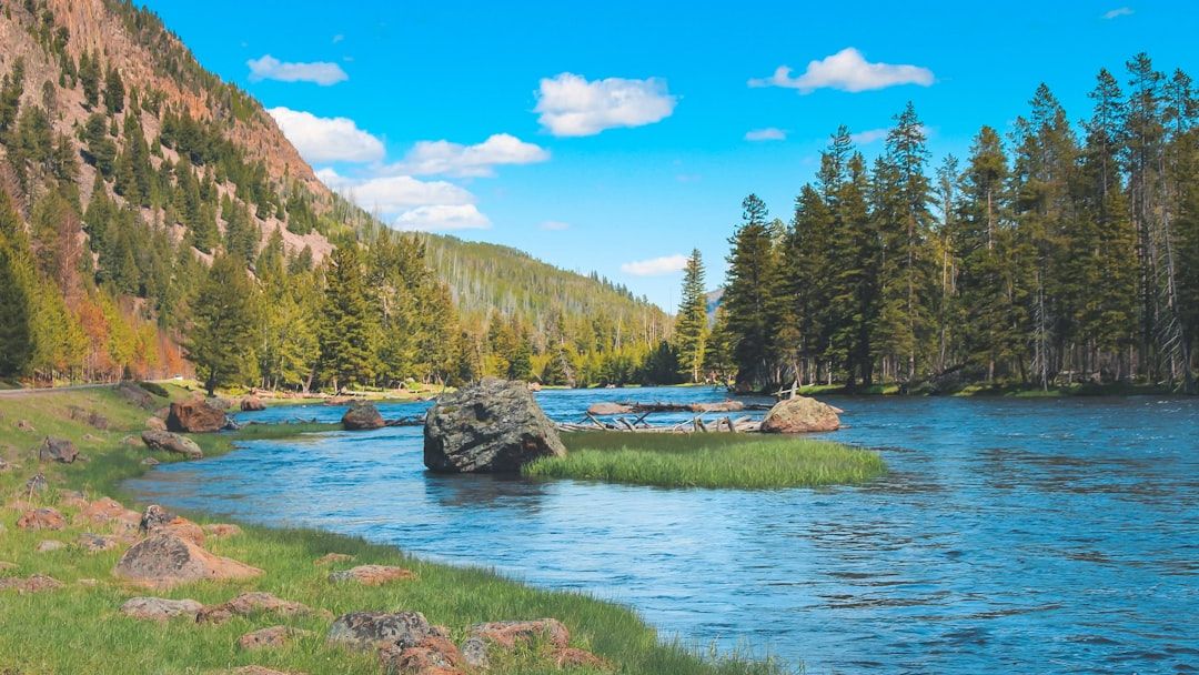 14 Disturbing Facts About Yellowstone That Park Rangers Don’t Tell Tourists