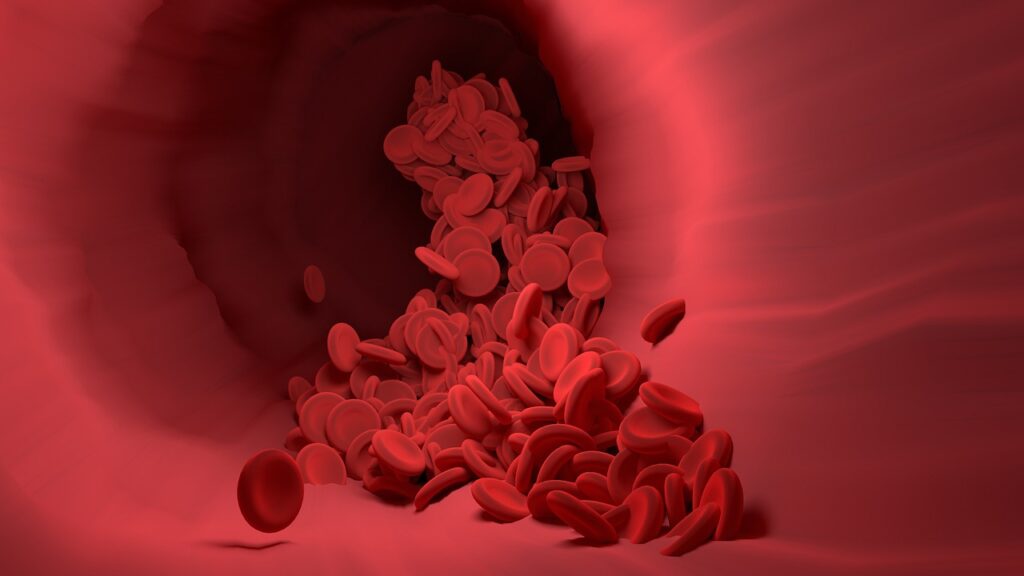 What Really Happens Inside Your Cells in the Hour After Your Heart Stops