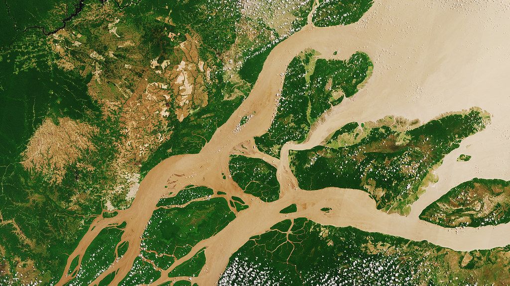 The Amazon Tributary NASA Has Been Monitoring for Three Years Just Triggered Emergency Alerts Across Four Research Institutions