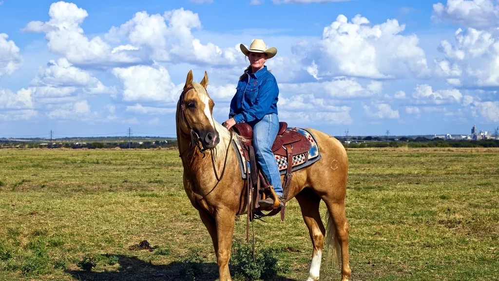 How Owning a Horse Changes You - From the Inside Out