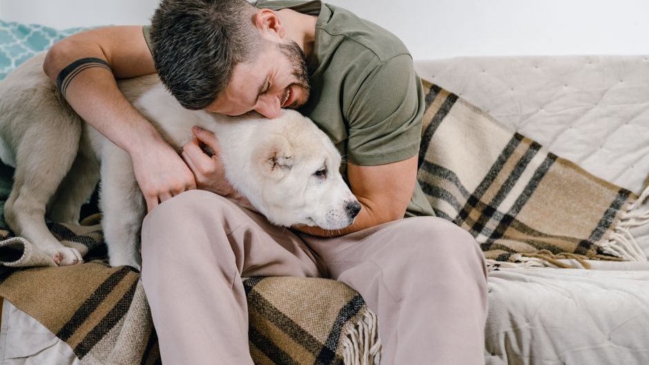 11 Signs Your Dog Has Quietly Chosen You as Their Person - Forever