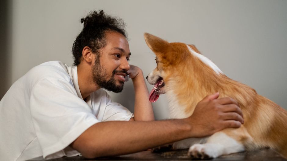 Neuroscience Says People Who Talk to Their Pets Are Actually Experiencing a Form of Social Cognition That Only 3% of Mammals Possess