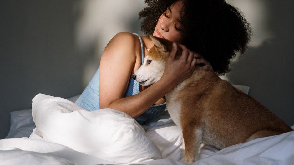 7 Things Your Dog Does Right After You Cry That Show You What Love Really Means