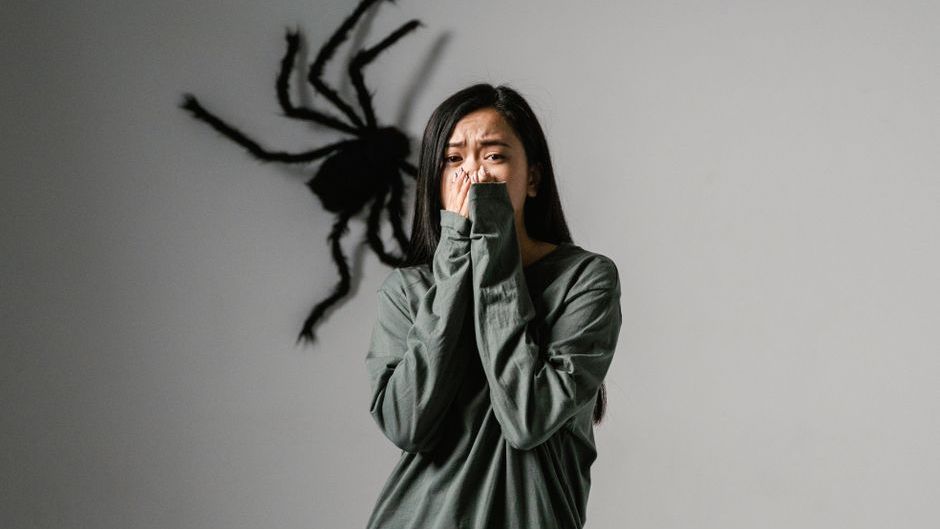 Evolutionary Science Says the Reason Humans Instinctively Fear Spiders and Snakes in Places Where Neither Has Ever Been Encountered Is That the Threat Was Encoded Into the Brain Before the Modern Landscape Existed