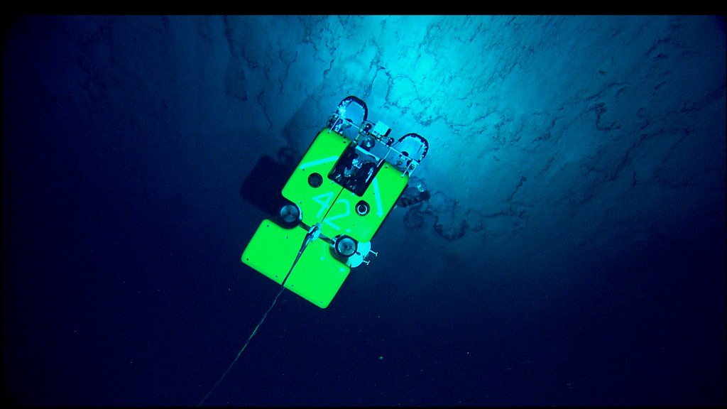 Ocean Science Says the Deepest Point of the Ocean Has Pressure So Extreme That No Unprotected Human Object Has Survived Long Enough to Document What Lives There Permanently - and Life Exists There Anyway