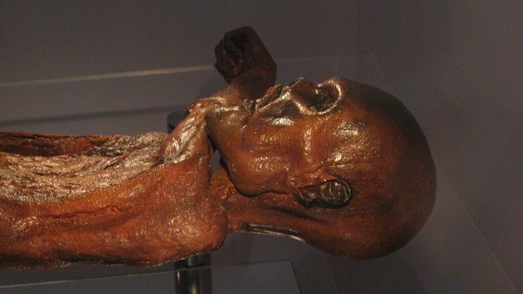 7 Historical Discoveries That Sound More Like Science Fiction