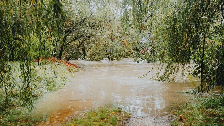 Why Stories of Great Floods Appear Across the Ancient World