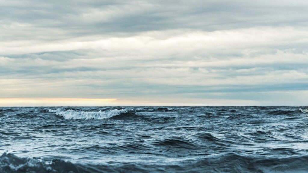 The Atlantic Ocean Is Cooling in One Spot Faster Than Any Model Predicted – And Marine Biologists Are Finding Species That Shouldn't Exist There