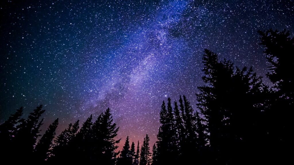 Astrophysics Says Some of the Stars Visible to the Naked Eye Tonight Are Already Dead - They Exhausted Their Fuel Thousands of Years Ago and the Light You Are Seeing Left Before the Star Stopped Existing