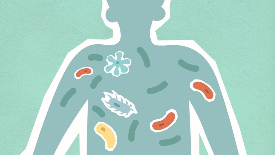 Science Says the Human Body Hosts More Non-Human Cells Than Human Ones - and the Boundaries of Where 'You' Begin and End Are More Debated Than Ever