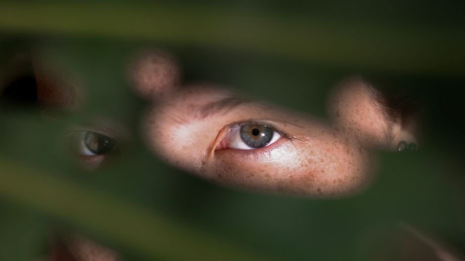 If You've Ever Felt Someone Watching You and Turned to Find No One There, Neuroscience Says Your Amygdala Detected a Threat Your Eyes Missed