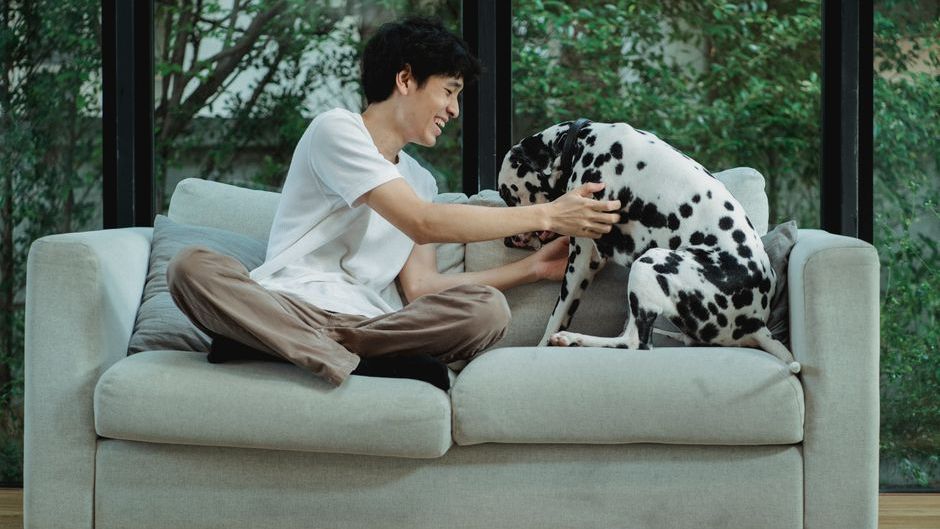 If Your Dog Suddenly Starts Following You to Every Room, Veterinary Science Says They Detected a Hormonal Shift That Precedes Major Life Changes