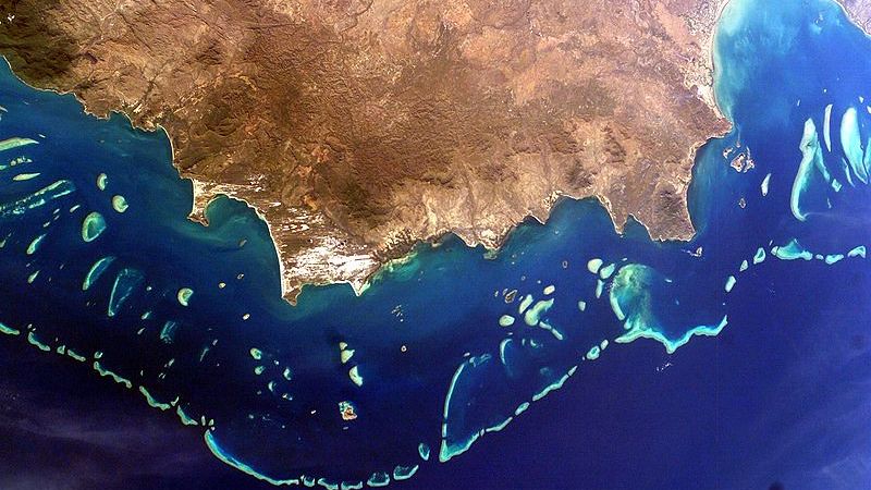 Great Barrier Reef Satellites Just Detected Something Growing Underneath the Coral That Marine Biologists Have Never Documented