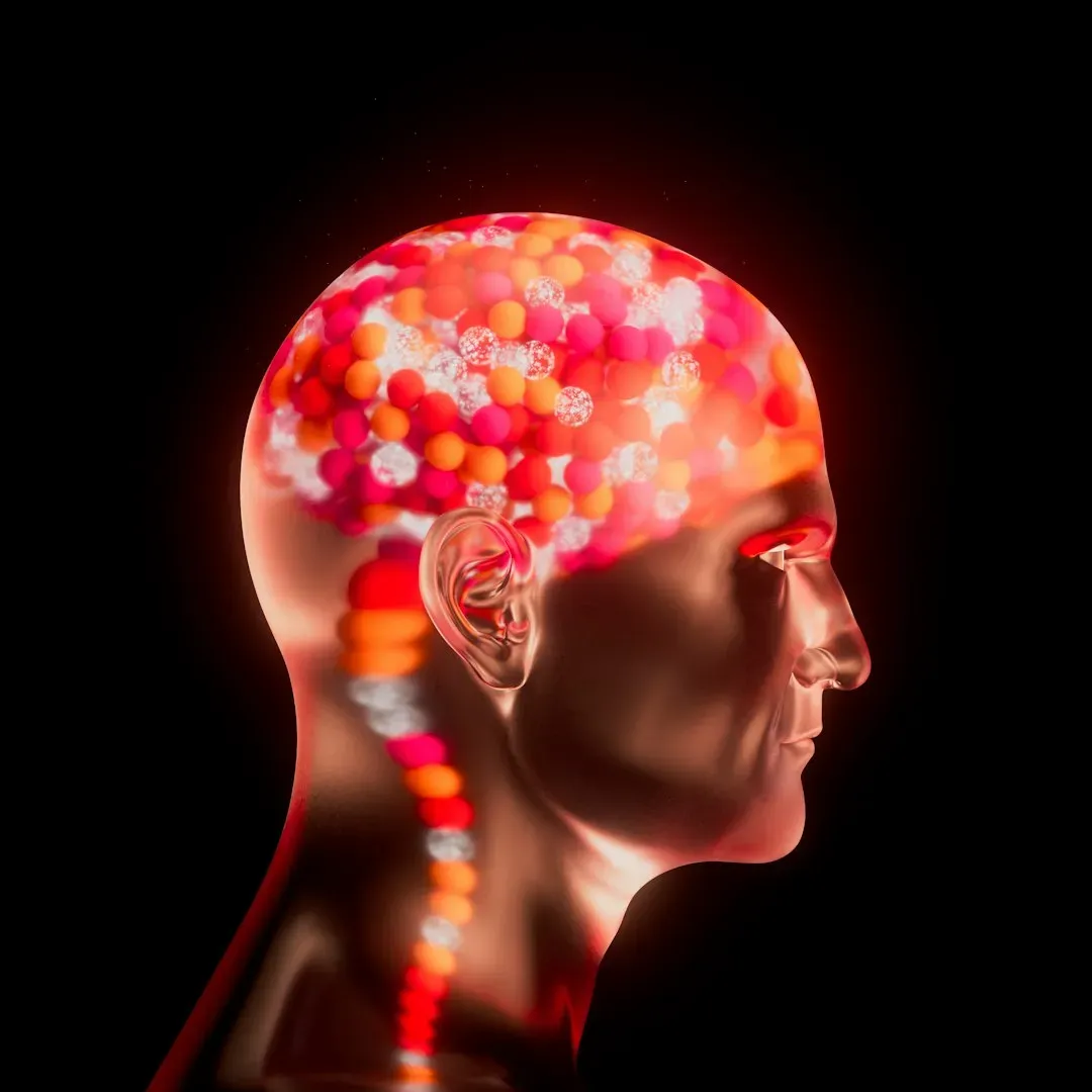 9 Physiological Responses That Activate in the Human Body the Moment It Detects That Someone Nearby Is Afraid
