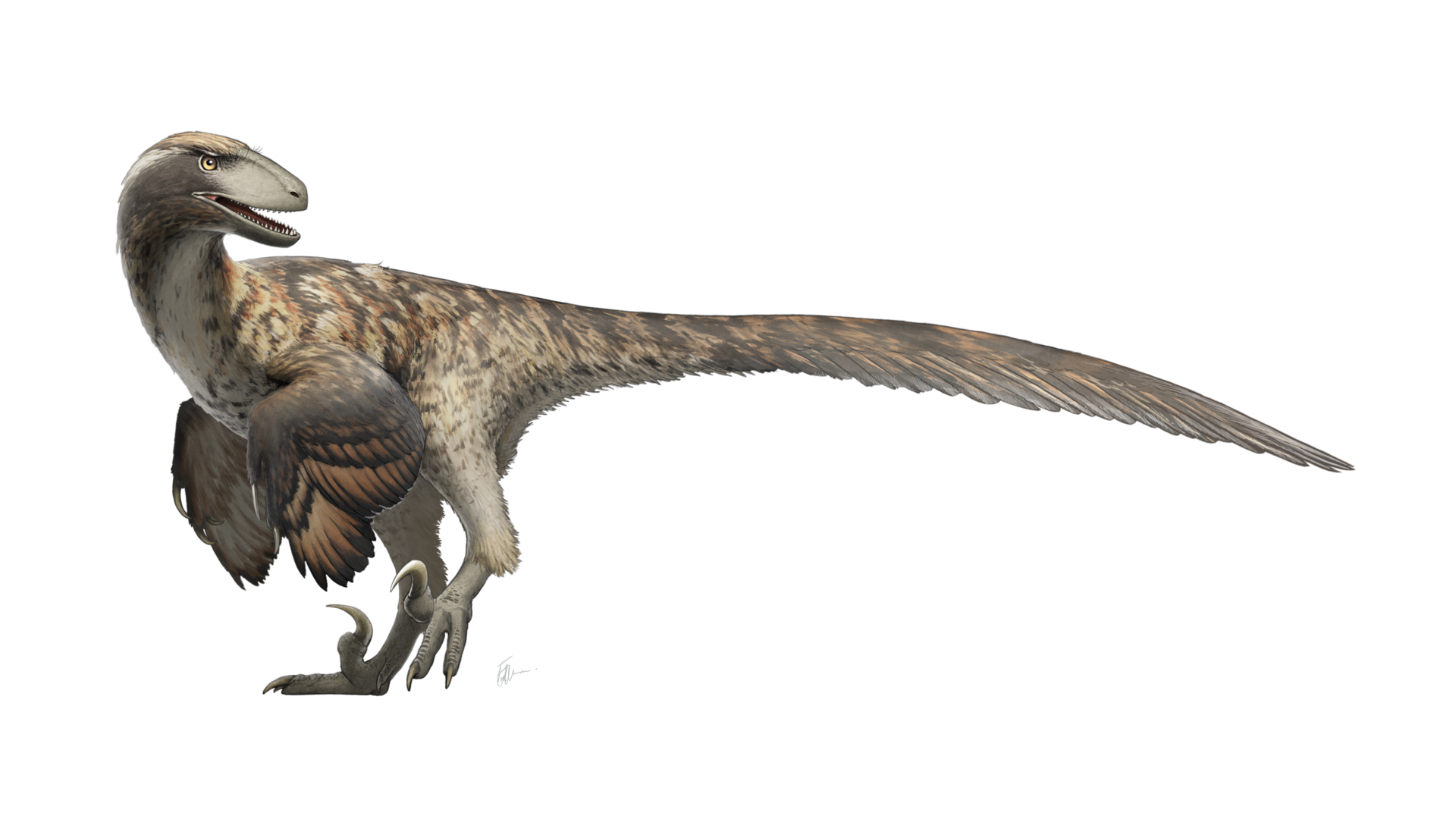 When a Giant Predator Turns Out to Be More Like a Bird